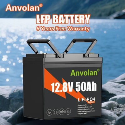 12V 50Ah Lithium Batterie LiFePO4 Akku BMS Wohnmobil