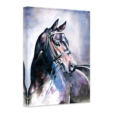 Leinwand Leinwandbild Aquarell eines Pferdes violett