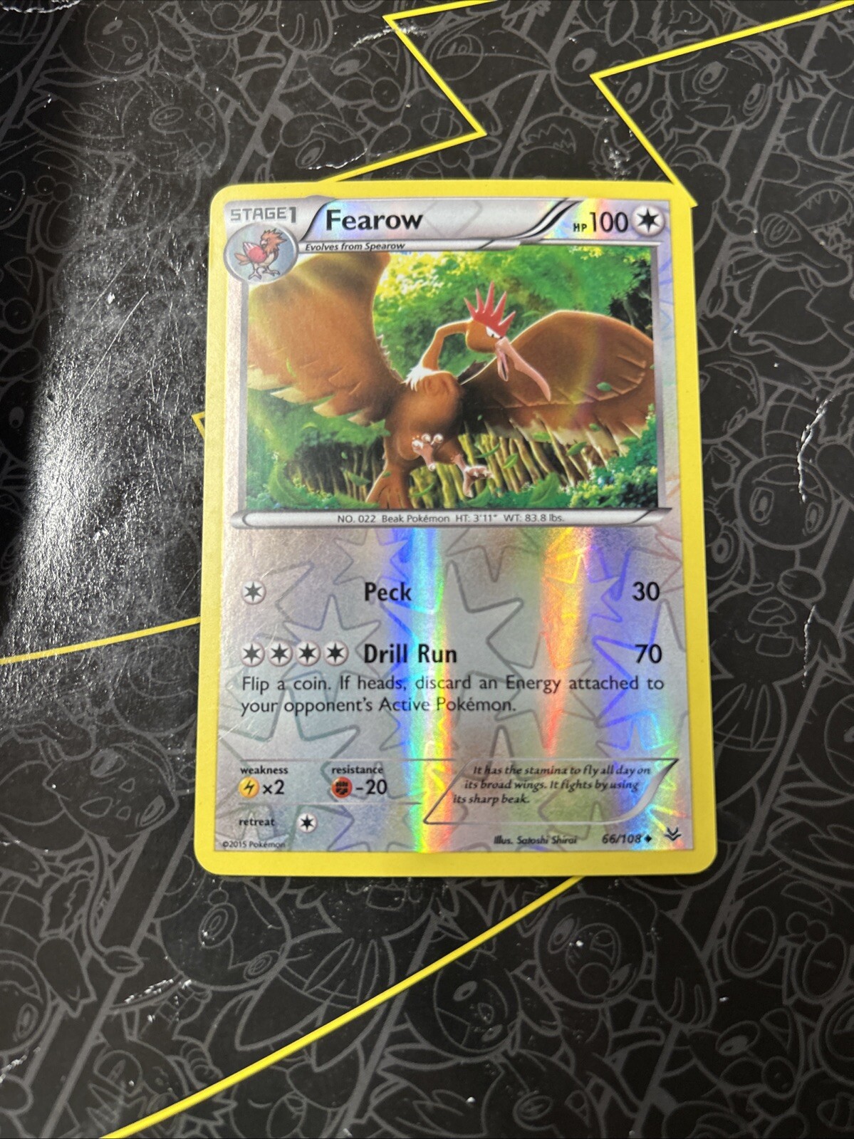Pokemon TCG Fearow XY Roaring Skies 66/108 Reverse Holo Uncommon Card D3