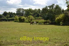 Photo 6x4 Ponies in field beside Manor Road  c2014