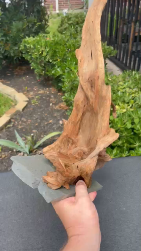 MOUNTED MALAYSIAN WOOD AQUARIUM FISH RIPTILES DECORATION PET SUPPLIES ART GARDEN - Video 1 of 1