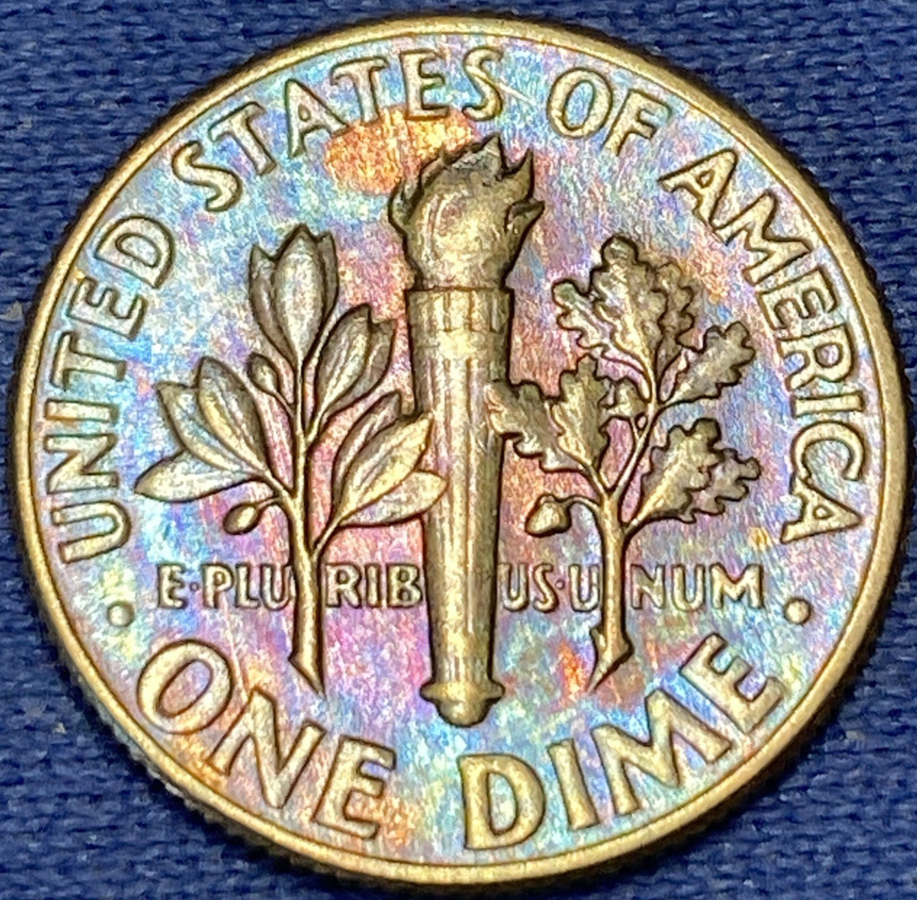 Picture 10 of 12