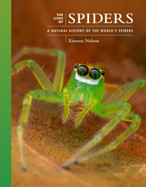 The Lives of Spiders: A Natural History of the World's Spiders by Dr. Ximena Ne - Image 2