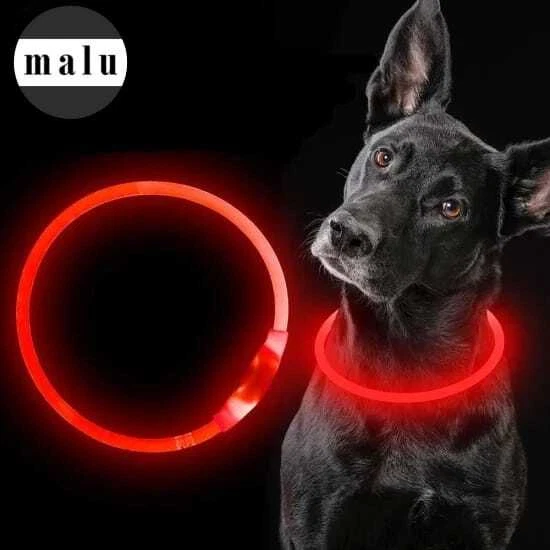 LED Leuchthalsband LED Hundehalsband zuschneidbar Blinklicht USB wiederaufladbar - Bild 2 von 4