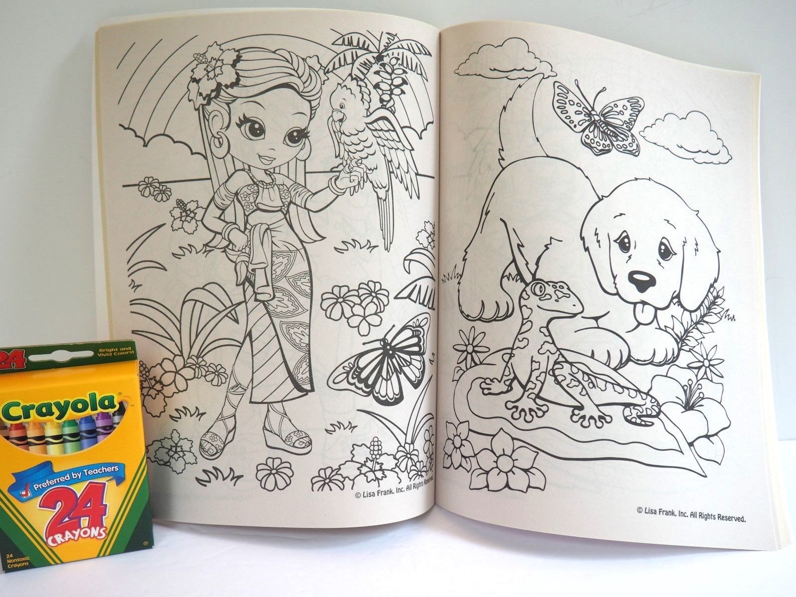 Lisa Frank, Paint with Water, Color Book, Puzzle, Crayons, Pencil | eBay