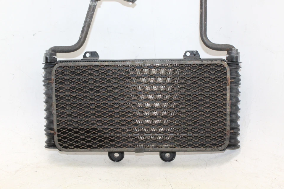 Suzuki Bandit 1200 GSF1200S 2005 enfriador de aceite de motor con mangueras Foto 2 de 4