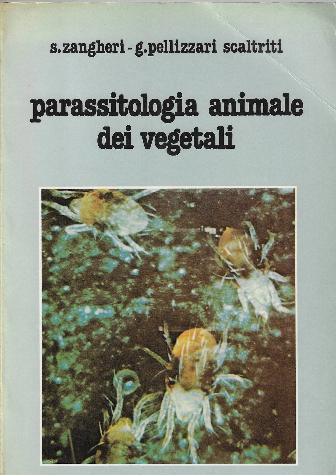 Foto 1 di 1