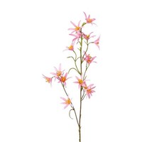 Artplants KüNstlicher Zweig Tweedia Solanoides Zorhil, Metallic-Rosa, 75Cm
