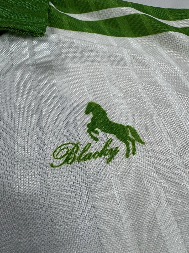 Camiseta de Fútbol Vintage Años 90 Suiza Verde Extremadamente Rara Artículo de Coleccionista Talla M Foto 2 de 4