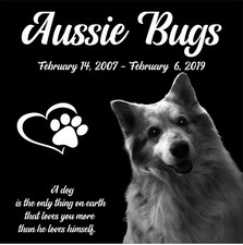 Pet Memorial Stone, Dog Memorial Personalized, Pet Grave Marker, Headstone 12x12