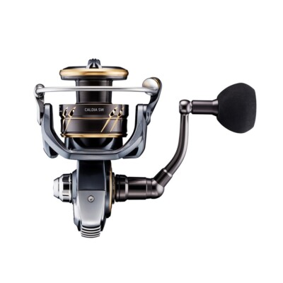 Daiwa 22 Caldia SW 8000-H Spinning Reel Ship from Japan New | eBay