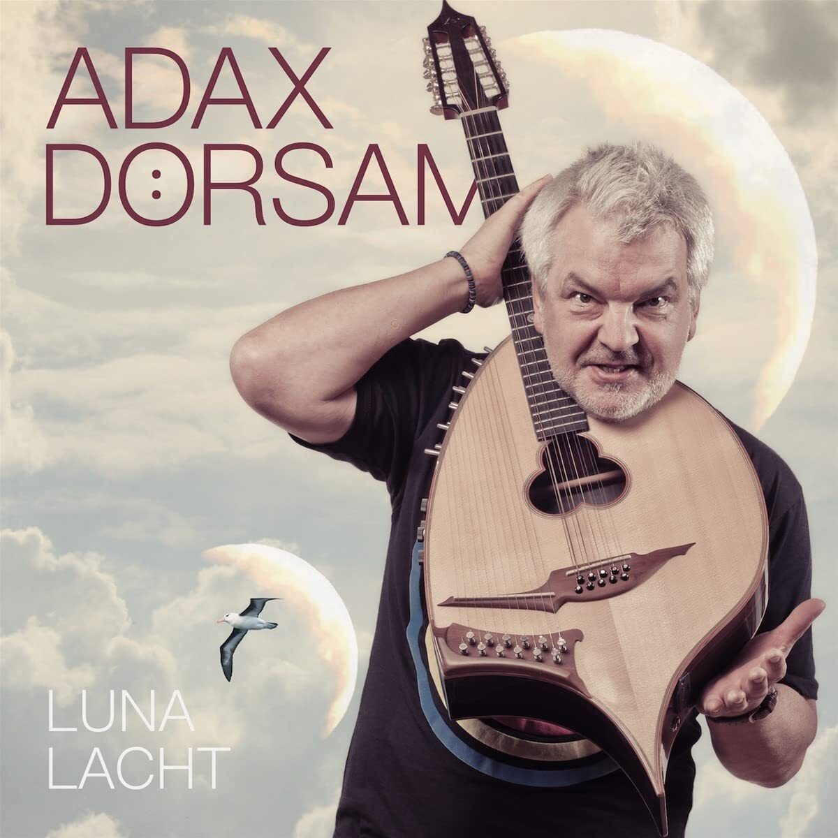 Adax Dörsam Luna lacht