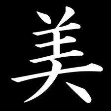 Beauty - Kanji symbol Vinyl Decal Car Truck Window Tumbler Tablet Mug Tablet Cup