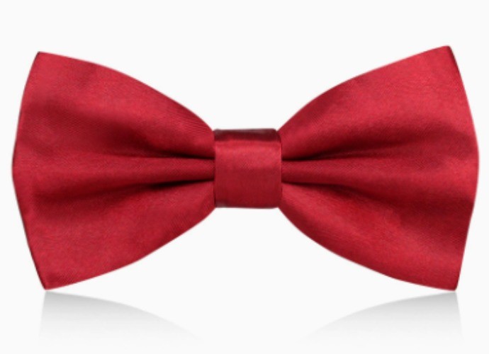 Men's Groom Suit Bowtie PreTied Necktie Four Style Formal Wedding Party Tuxedo