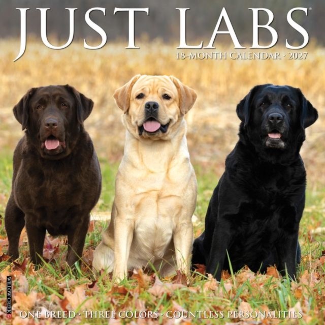 Labs 2027 Wall - Image 3