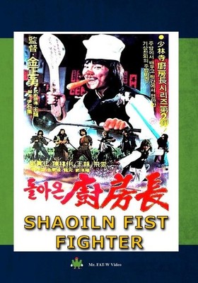 Shaoiln Fist Fighter (DVD)