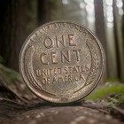 1958 D Lincoln Wheat Cent/ Penny ☆ FREE SHIPPING  — photo 4