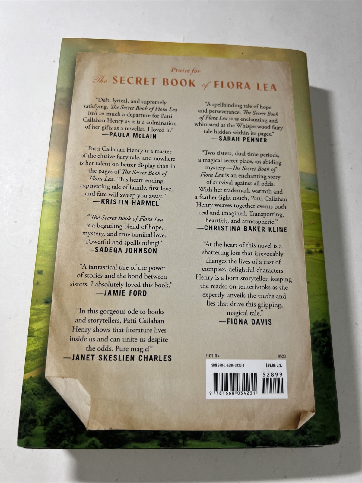 The Secret Book of Flora Lea, Book by Patti Callahan Henry, Official  Publisher Page