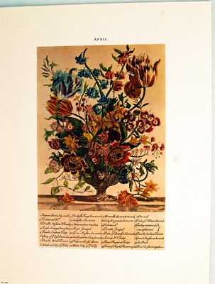 (9 x 12) Art Print FL103 Bernard Picture Co. Flowers of the Month - April