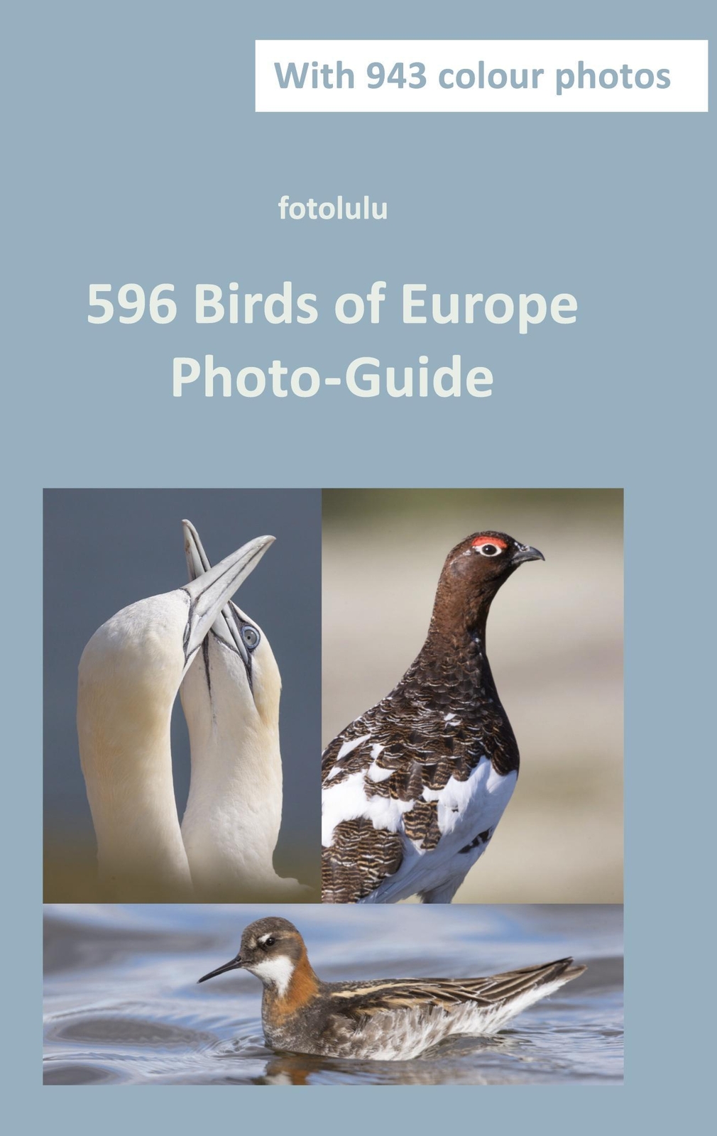 Thumbnail - Fotolulu | 596 Birds Of Europe | Taschenbuch | Englisch (2021) |