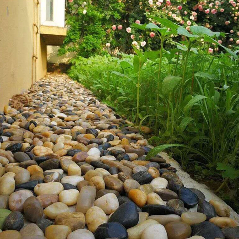 Decorative Pebbles For Vases Shelly Lighting