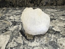 Rare Cryolite, Ivigtut, Greenland