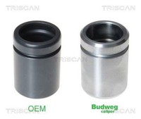 Kolben Bremssattel Triscan 8170 234038 FüR Ford Mercedes Mazda 40Mm Stahl Klasse