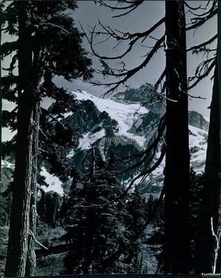 1977 Cascade Mountains Nooksack River Valley Landscape Vintage Press Photo 8x10