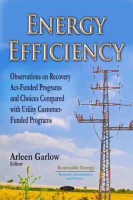 Energy Efficiency: Observations on Recovery Act-Funded Programs