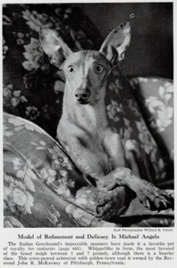 Italian Greyhound "Royalty" - CUSTOM MATTED - 1944 Dog Art "Photo Print" B/W