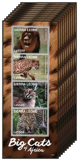 Lotto all'ingrosso 10x fogli francobolli SIERRA LEONE 2015 grandi gatti MNH #W30070