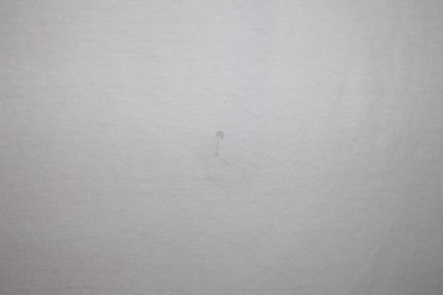 COMPLEJO LASCIVO Talla XL Camisa Anime Niña Camiseta Hentai Flores Vestido Transparente Manga - Imagen 8 de 8