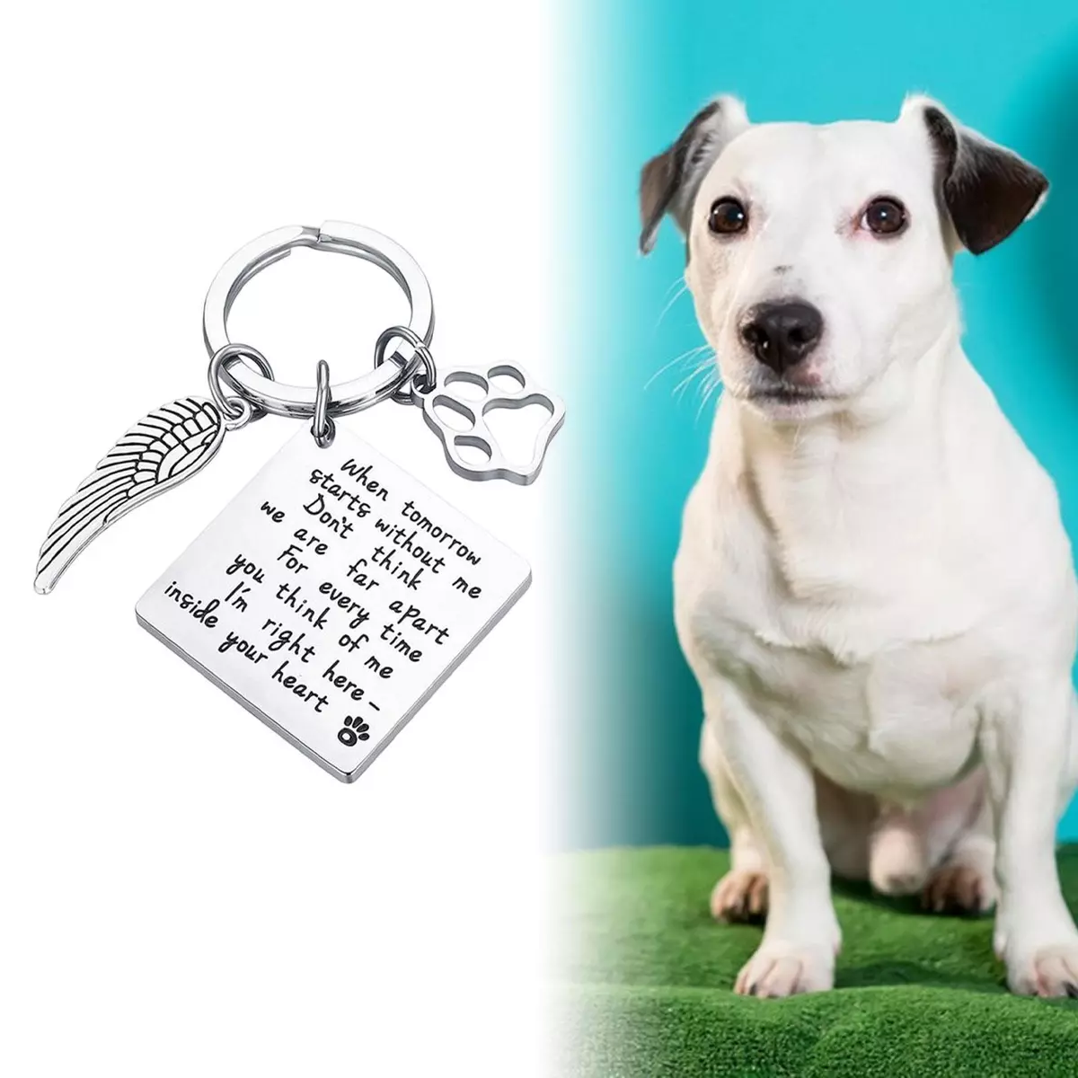 Dog hotsell condolence gift
