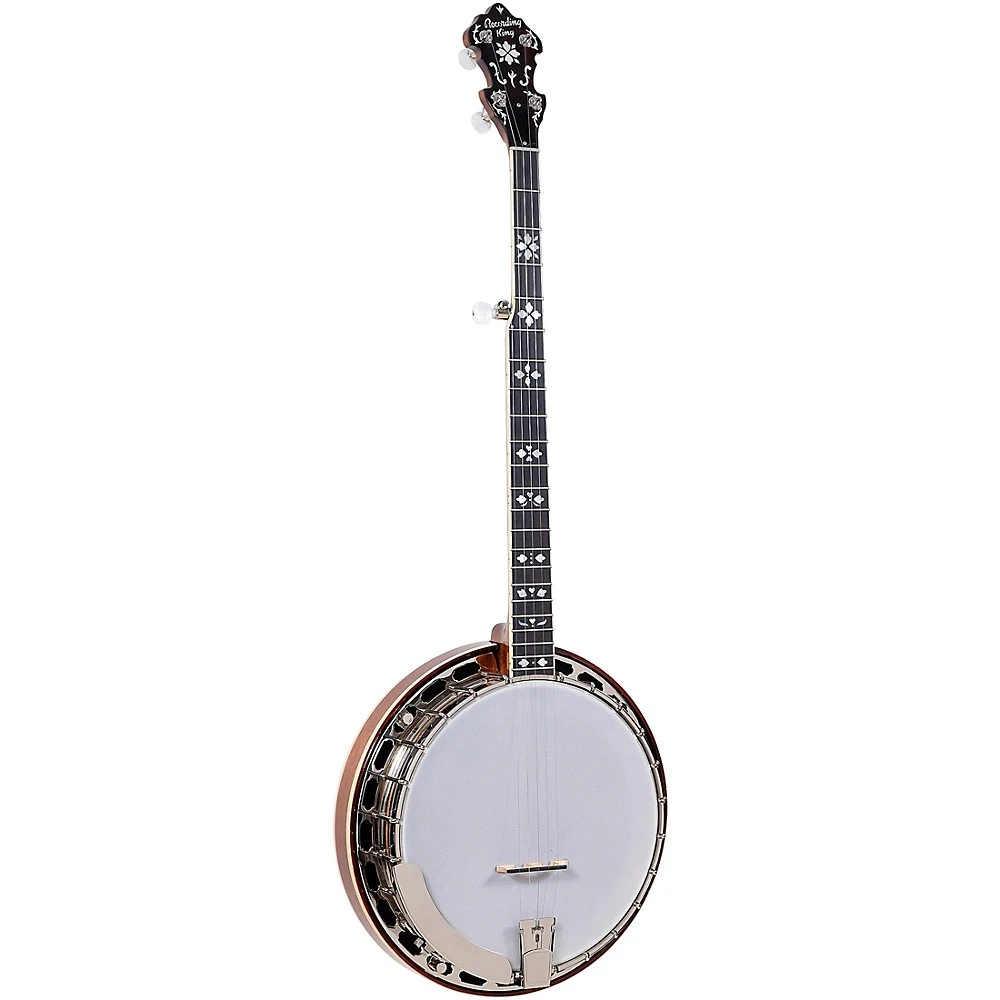 RecordingKING バンジョー Recording King Banjos for sale - eBay