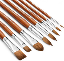 Sable Watercolor Brushes Professional, 8Pcs Sable Brush Set Variety Shapes with