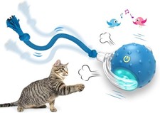 Interactive Cat Toys Ball for Indoor Cats Fast Rolling on Carpet, Chirping  Mot