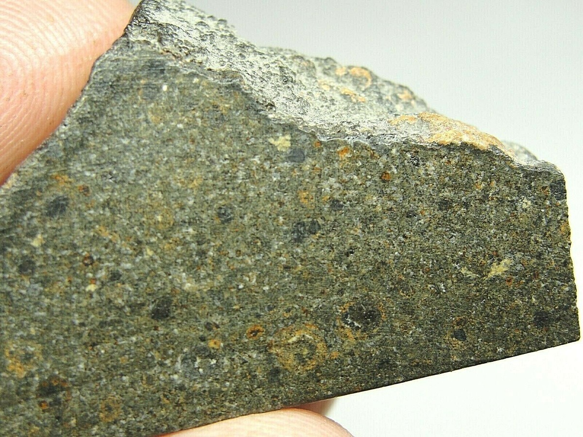 NWA 11203 Carbonaceous CK6 Chondrite - G684-0004 - 13.13g