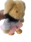 Foto 15 di 15