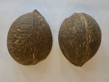 LOTE 56 mitades con cáscara de coco 100 % naturales limpias y secadas al sol, manualidades decoración del hogar