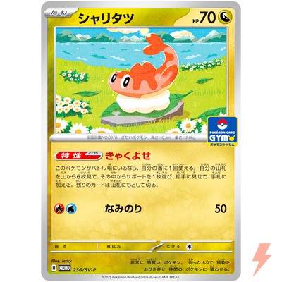 Tatsugiri 236/SV-P Gym Promo - Pokemon Card Japanese Scarlet
