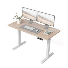  48 × 24 Inches Standing Desk, Ergonomic, Electric Height 48x24 Maple