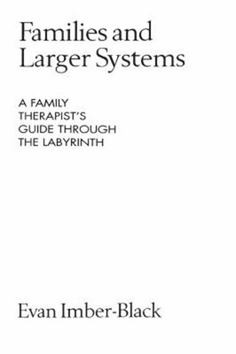 Families and Larger Systems : A Family Therapist's Guide Through