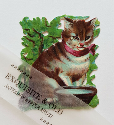um 1900 Katze Milch Haustier Glanzbild Prägedruck Ephemera Deko Geschenk Vintage