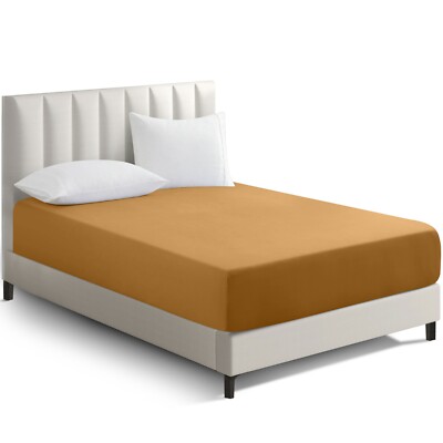 Renforcé Cotton Fitted Sheet Plain, 100% Cotton, beige