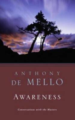 Awareness: The Perils and Opportunities of Reality - Paperback - GOOD