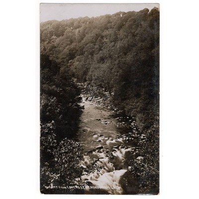 ASHBURTON Devon, River Dart from Lovers Leap RP Postkarte, gestempelt 1913