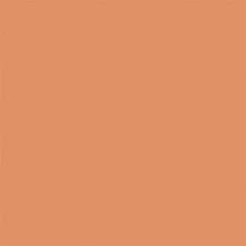Testor Corp ~ All Scale ~ All-Purpose Enamel Paint ~ Light Tan ~ 704-1170