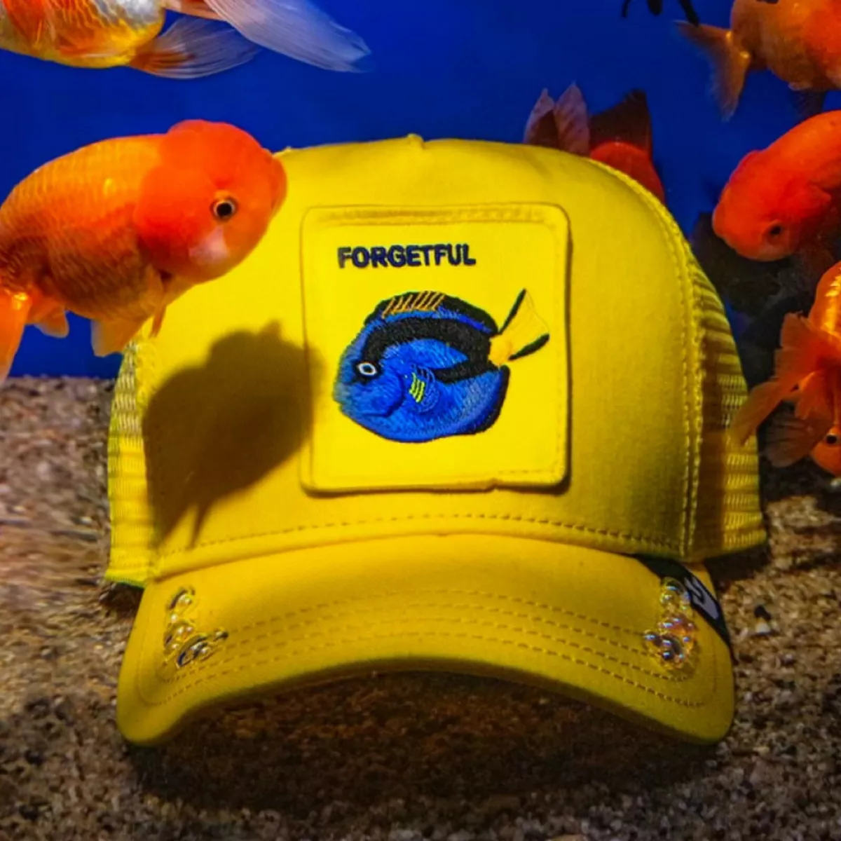 Goorin Farm Yellow Hat Forgetful Dorway Effect Blue Regal Tang