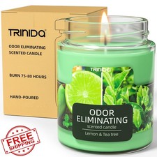 TRINIDa Scented Candles Lemon Tea Tree, Pet Odor Eliminator, Soy