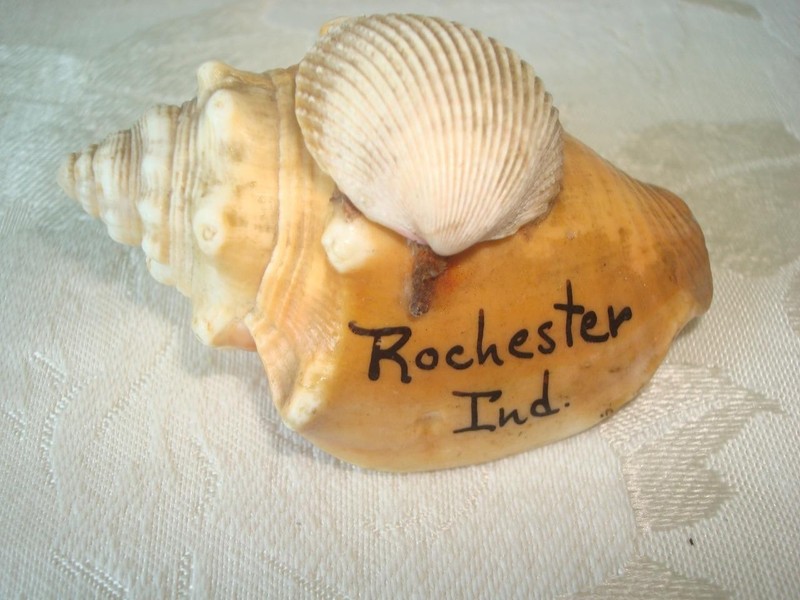 Vintage Souvenir Seashell Paperweight Rochester Indiana KJ